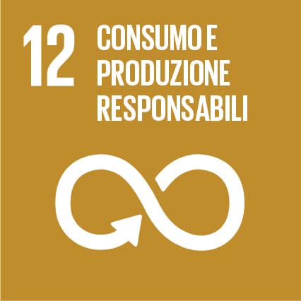 SDG 12 &ndash; Produzione e consumo responsabili