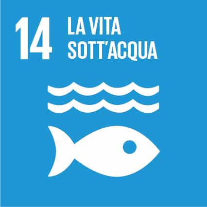 SDG 14 &ndash; Vita sott&rsquo;acqua