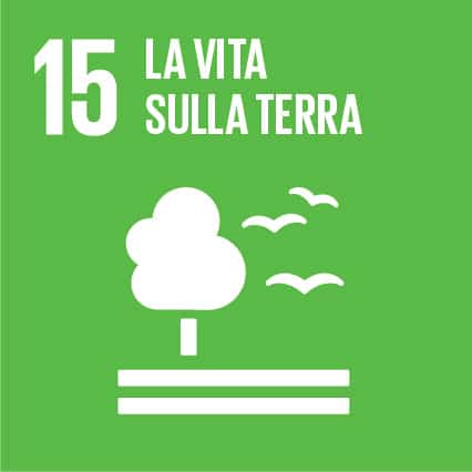 SDG 15 &ndash; Vita sulla terra