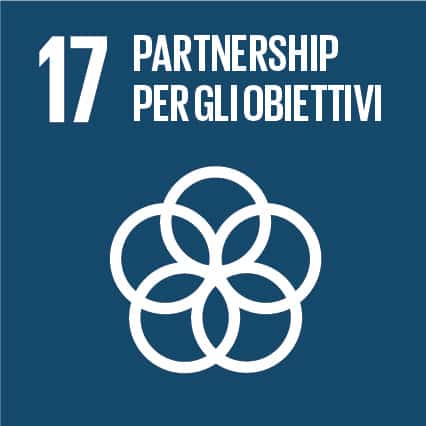  SDG 17 &ndash; Partnership per gli Obiettivi